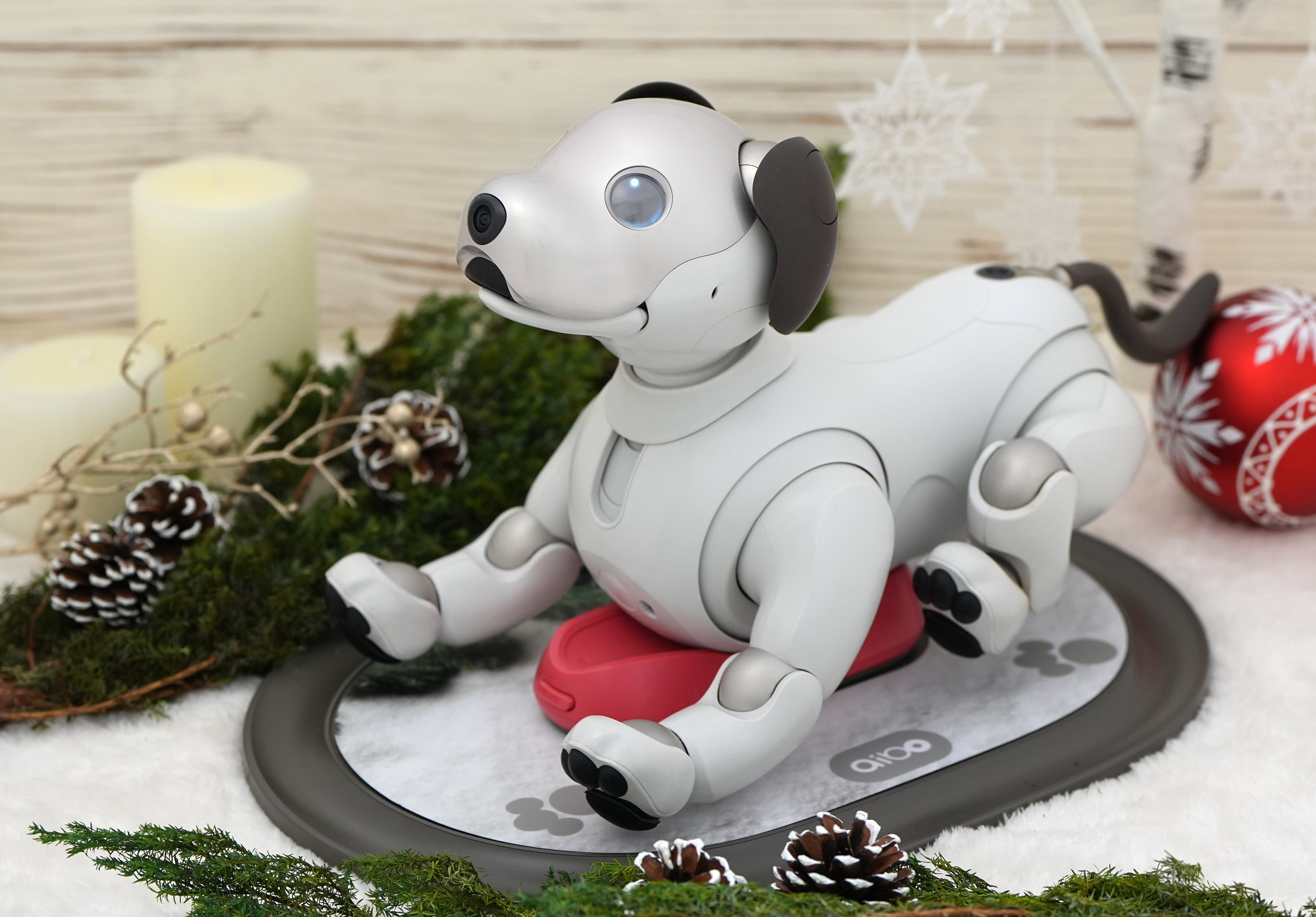 aiboチャージステーション・デコカバー〈芝生柄〉 – ROBO-UNI