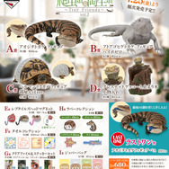 リアルで可愛い「一番くじ 爬虫類＆両生類」第2弾！ラストワン賞は