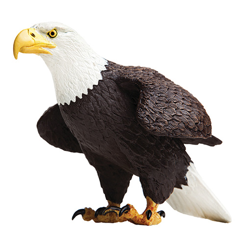 251029 Safari【ハクトウワシ(L)】（廃番）｜動物・恐竜フィギュアのZOOO!