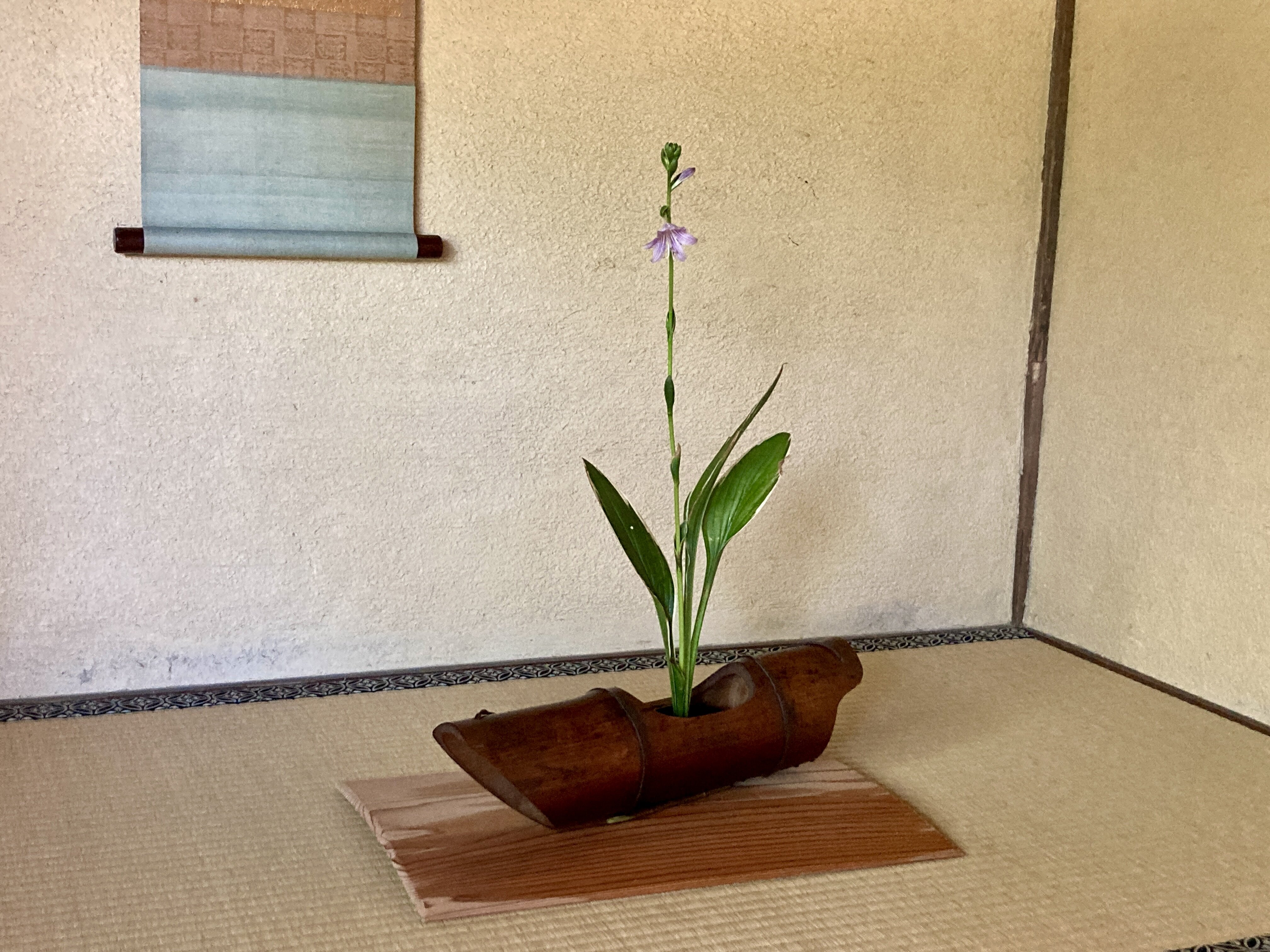 一器・一花・一菓 「泊舟」2バージョン 停泊の静けさと、出港の気配と