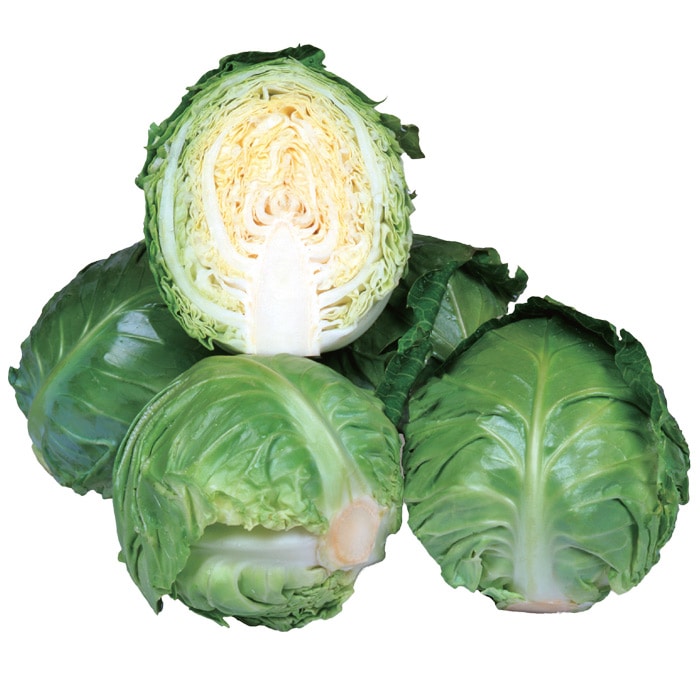 ミニキャベツ ミニックス40｜種（タネ）,球根,苗,資材,ガーデニング