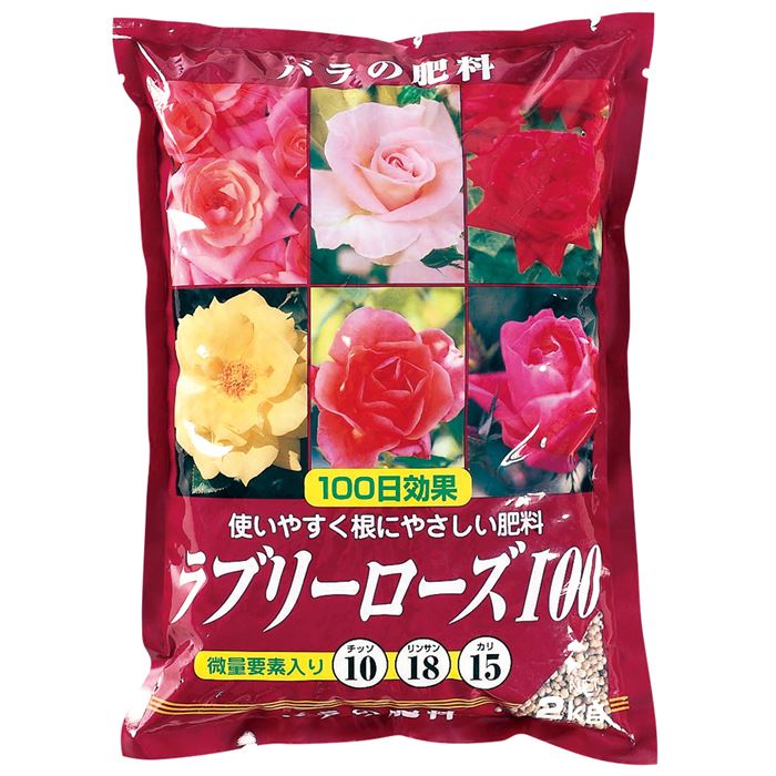 さとぴです♪ラブリーローズ10カット×6セット 速達発送 276現物 多肉