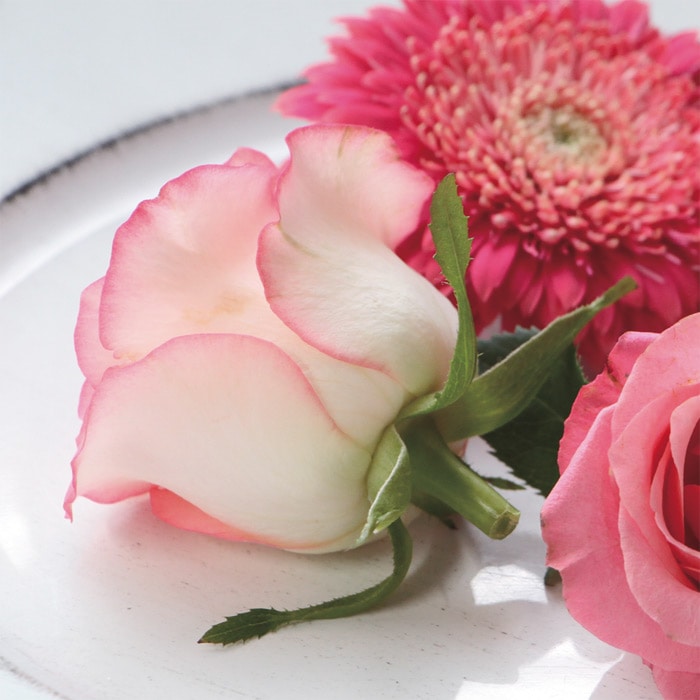 とても綺麗な色に仕上がるドライフラワーのためのシリカゲル｜種（タネ