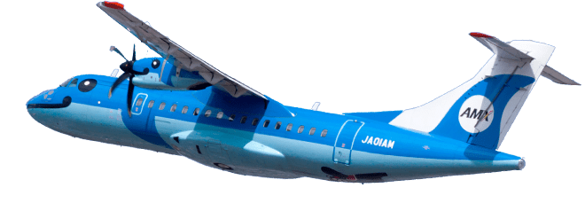 天草エアラインの国内線飛行機・格安航空券予約ならスカイチケット