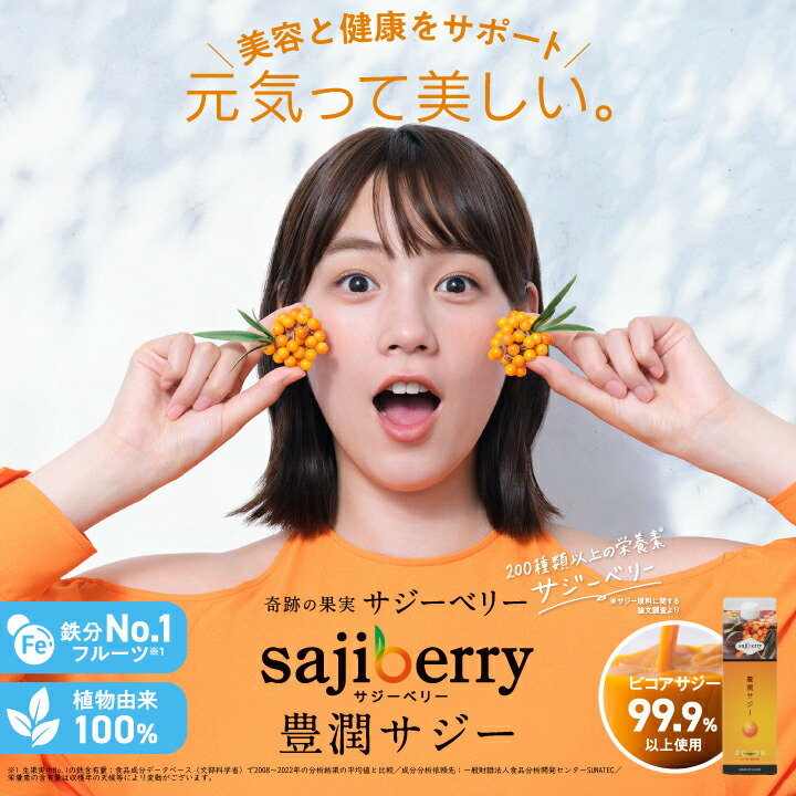 クーポンで3400円】豊潤サジー 1000ml サジージュース【紙パックタイプ