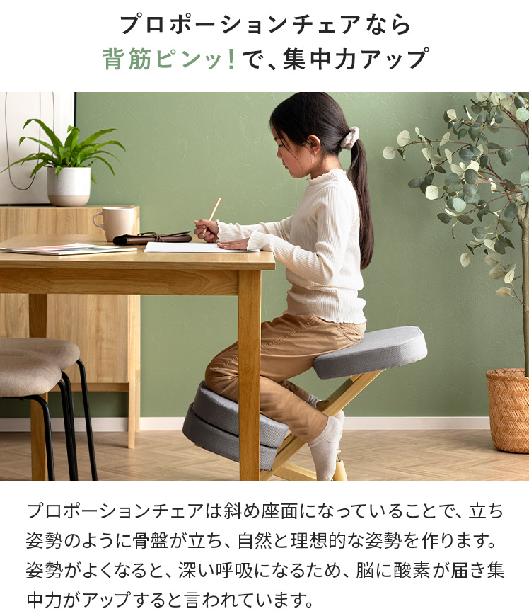 宮武製作所 バランスチェア プロポーションチェア 姿勢 椅子 補助