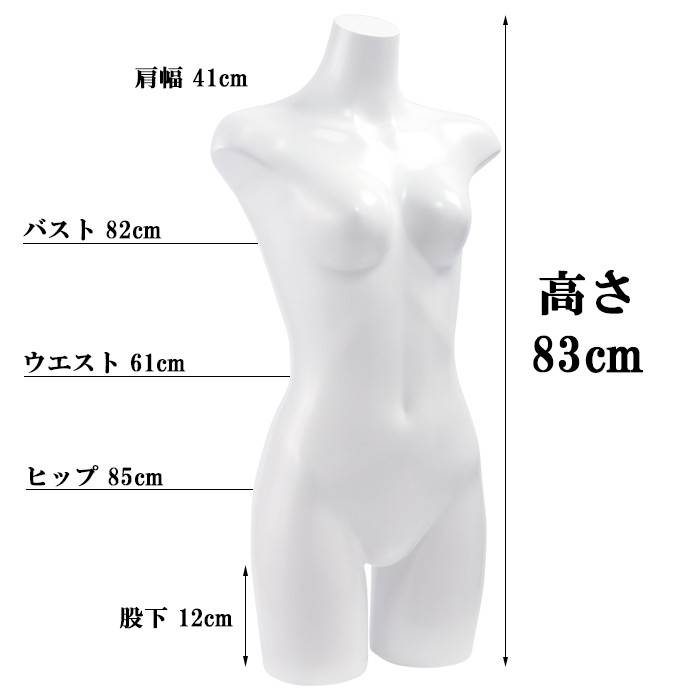 卓上トルソー 女性用 上半身 9号 ラッカーボディ カラー5色 ST860