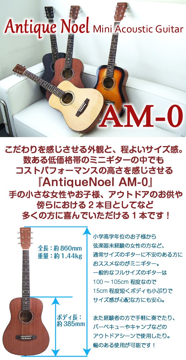 ミニギター アコギ アコースティックギター 初心者 入門 12点 セット