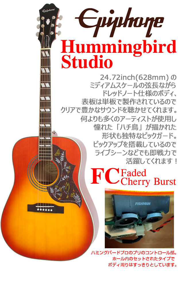 Epiphone（エピフォン） アコースティックギター Hummingbird Studio