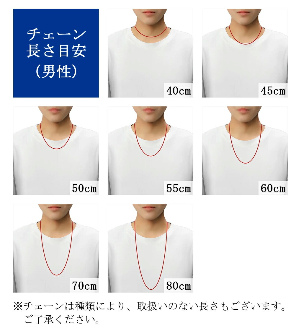 Phiten（ファイテン） チタン ネックレスチェーンのみ 限定 金属