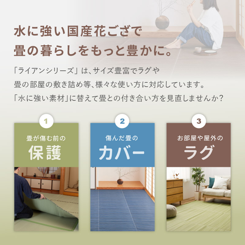 HAGiHARA（萩原） ラグ い草風 ゴザ カーペット 10畳 435×352cm 江戸間