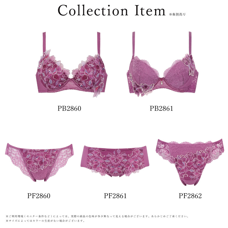 Wing ワコール ウイング PF2862 レシアージュ Lesiage 2860シリーズ