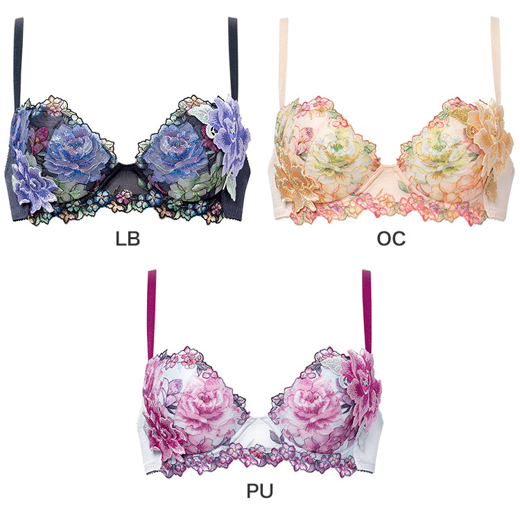 サルート（SALUTE） ワコール 21グループ 21G ブラジャー単品 P-up