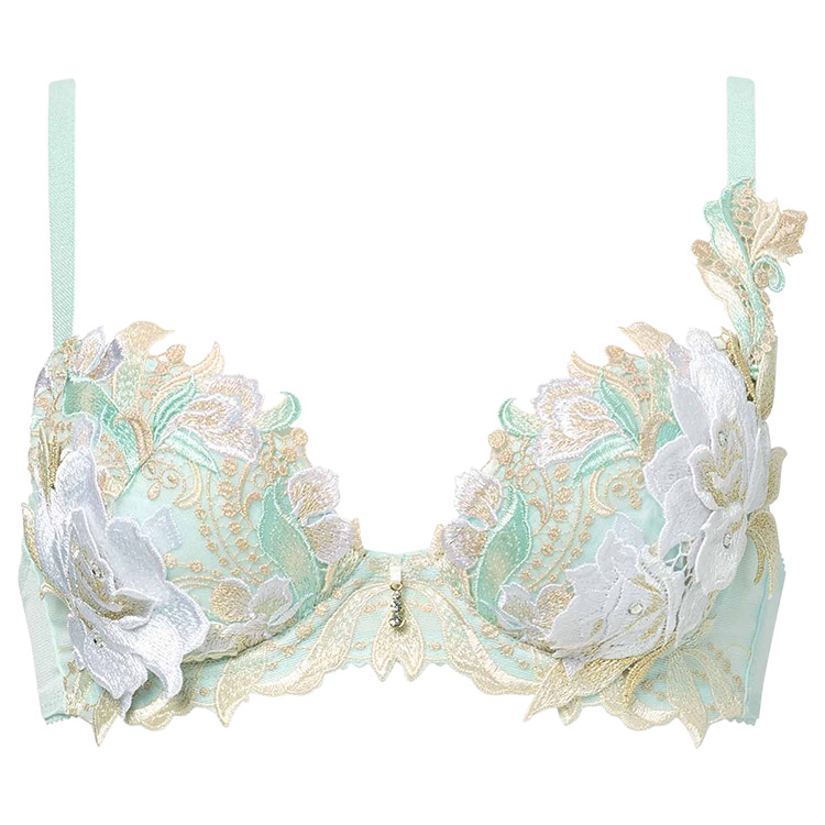 サルート（SALUTE） ワコール 22グループ 22G ブラジャー単品 P-up