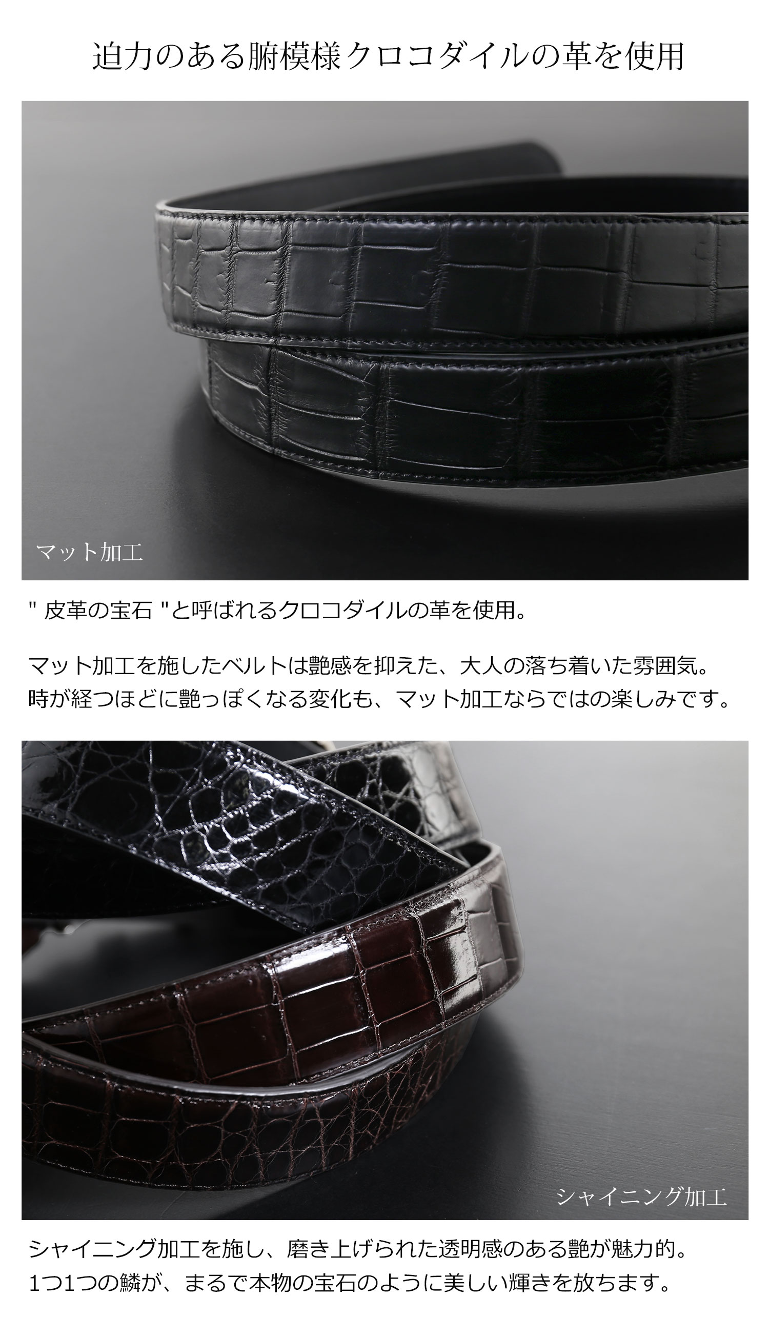 sankyo shokai（三京商会） [28h限定10%off]メンズ ベルト