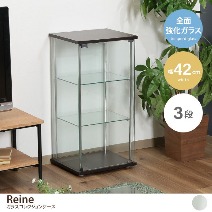 ラック コレクションケース コレクションラック ガラスケース ショー