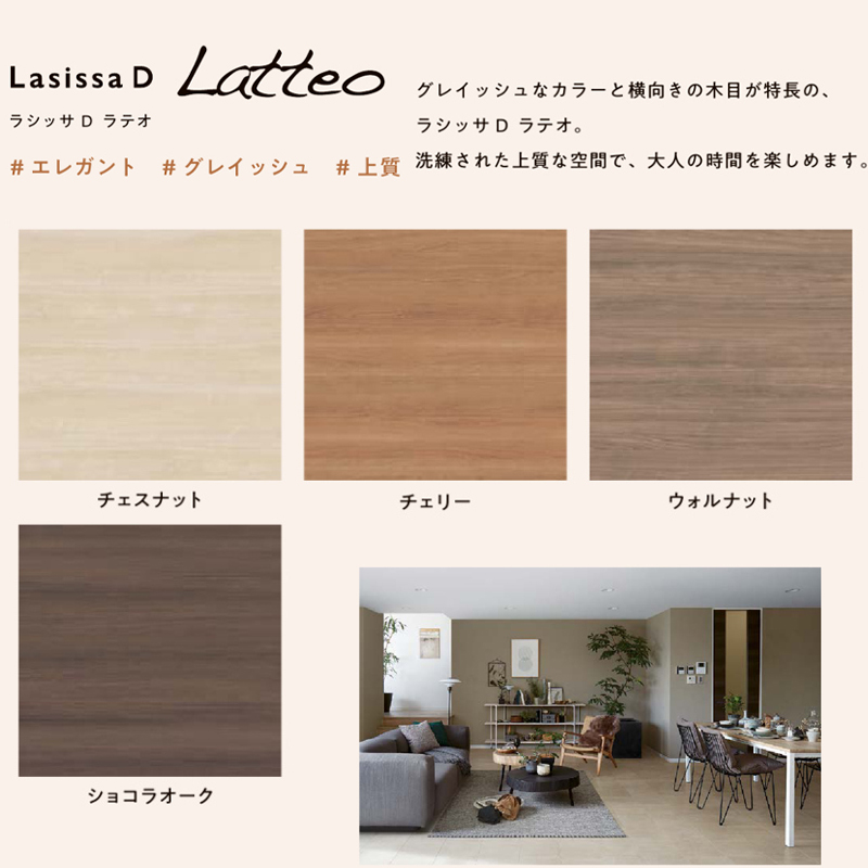 ラシッサ LIXIL ラシッサDラテオ 標準ドア LAA (05520・0620・06520