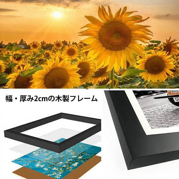 3枚セット 33×43cm アートパネル 枠付き フレーム絵画 ひまわり