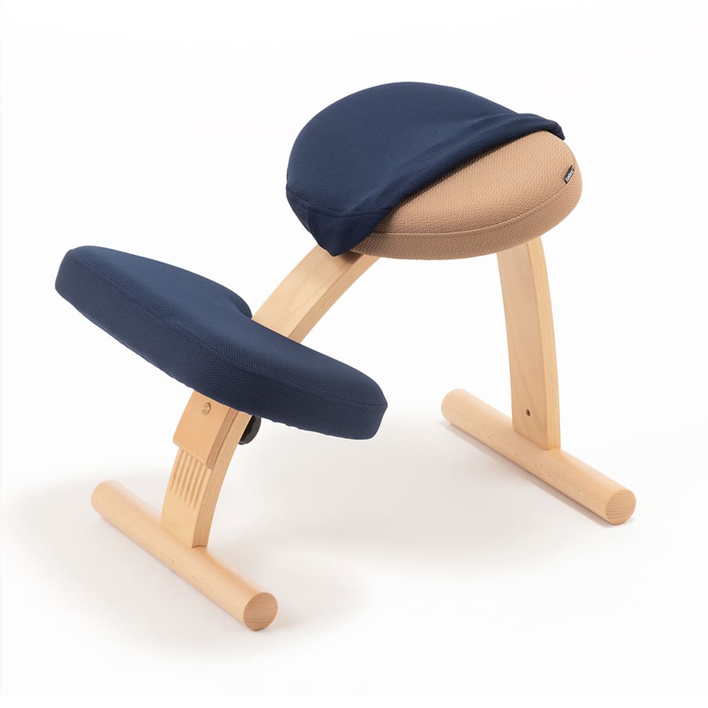 バランスラボ バランスチェア バランスチェアー バランスイージー