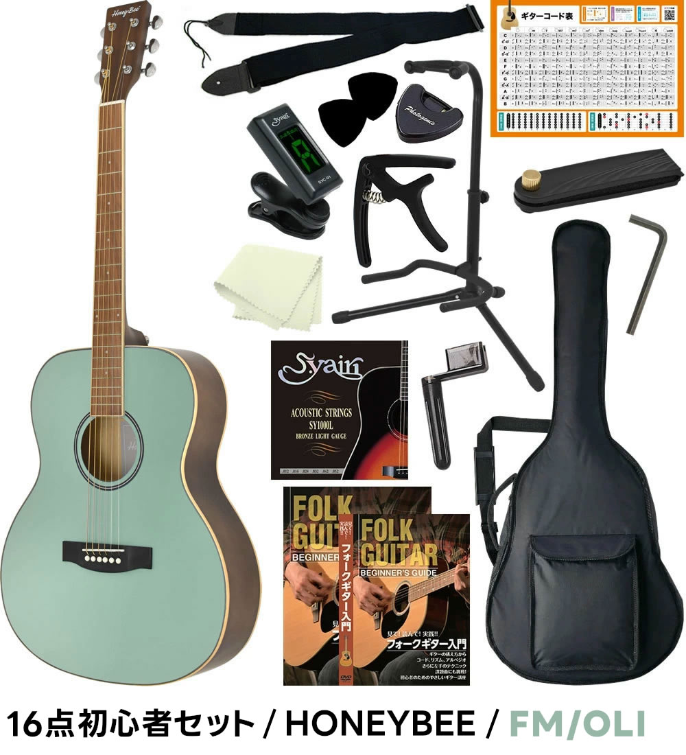 アコースティックギター 初心者セット 16点 W-15/F-15 アコギ 入門