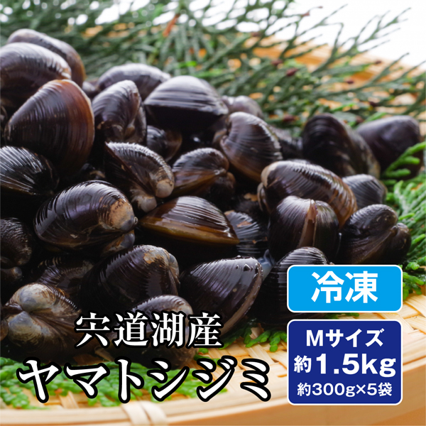 しじみ 島根県 宍道湖産 天然ヤマトシジミ 約1.5kg(300g×5袋)Mサイズ