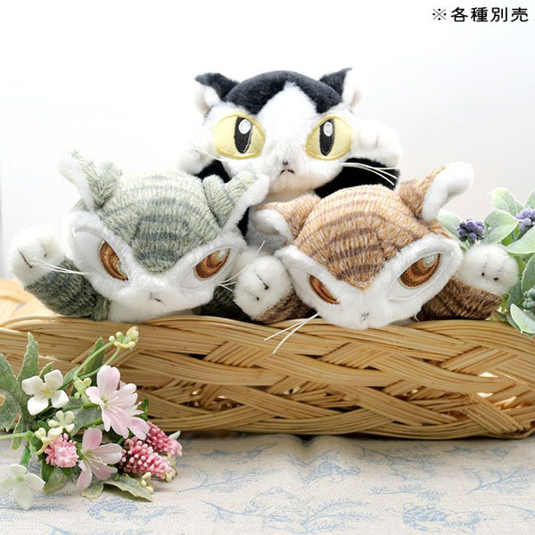 クタクタぬいぐるみ ダヤン・灰 わちふぃーるどダヤン/ダヤン : わちふ