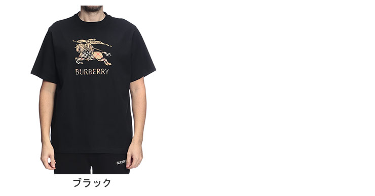 BURBERRY（バーバリー） メンズ Tシャツ 半袖 ロゴプリント チェック