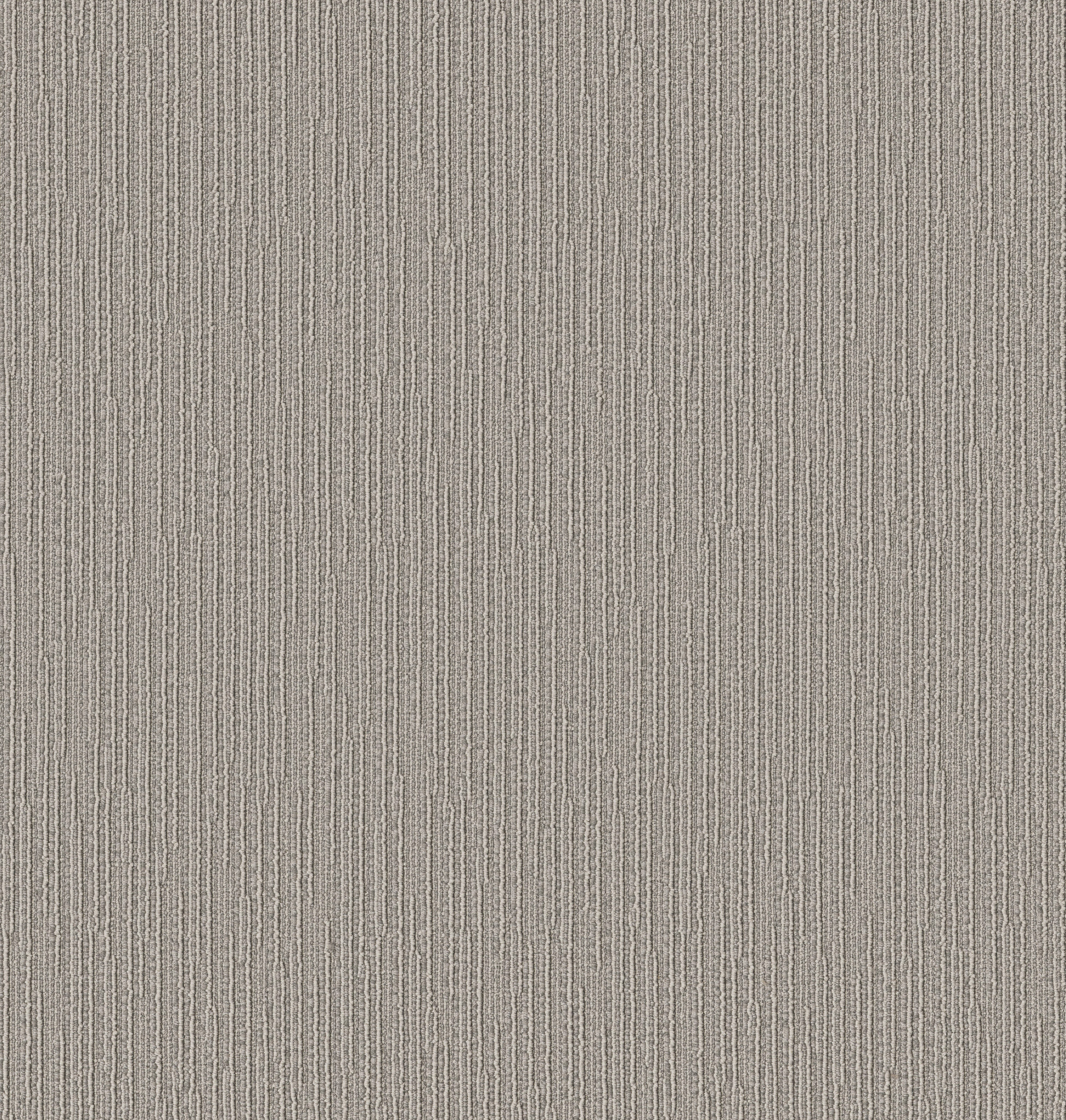 Chase - 100% ANSO® High Performance Nylon in Stampede | AndersonTuftex