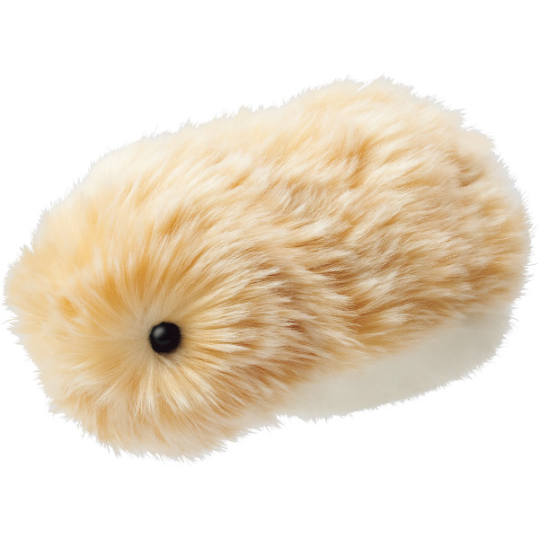 カシオ モフリンゴールド | シャディギフトモール