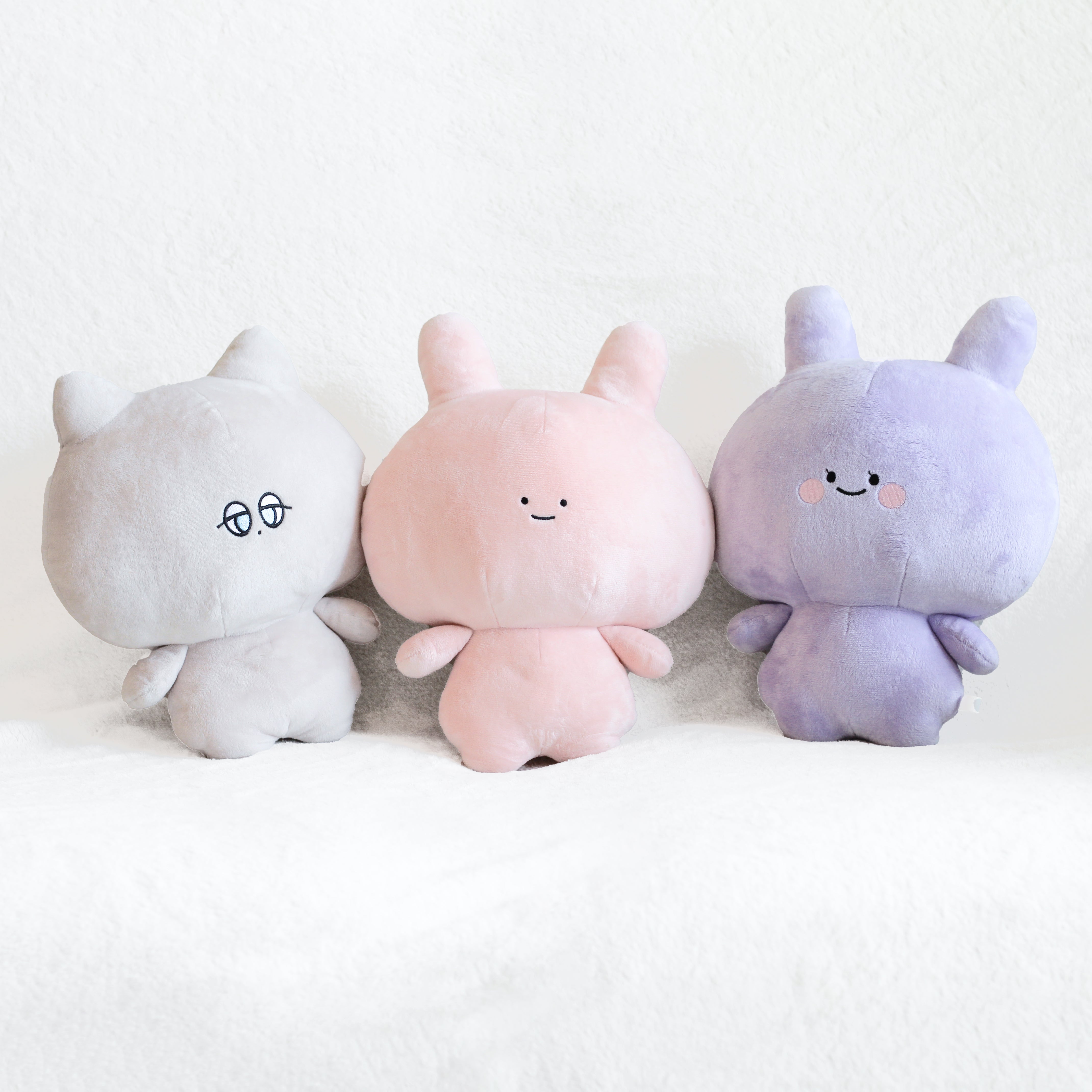 IMG_3553.jpg?v=1768384038&