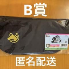 タイトーくじ HORSE HEROES ホースヒーローズB賞 マルチバッグ - メルカリ