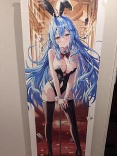 ホロライブ 雪花ラミィ タペストリー(等身大含) 5点まとめ売り - メルカリ