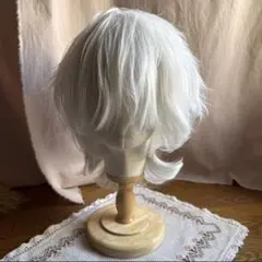 2026年最新】カットウィッグの人気アイテム - メルカリ