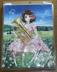 響け!ユーフォニアム 1期 初回限定 特典 イラストカード 全種類 セット
