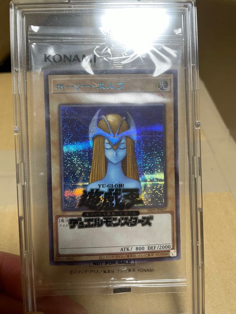 ホーリーエルフ ブルシク