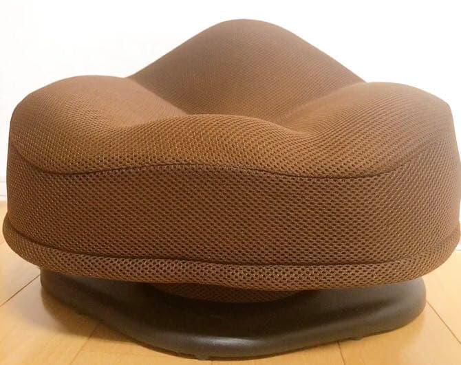 骨盤スリムチェアDX 6143nQNxDDL._AC_UF894,