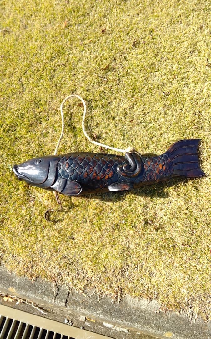 自在鉤の特大鯉　92センチ