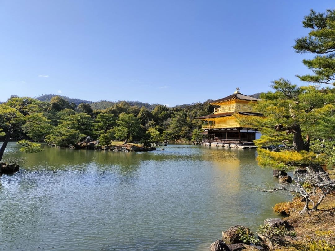 【たかぼー】1月14日テキスト出品 No.803] ニューダイアリー 1【黒】