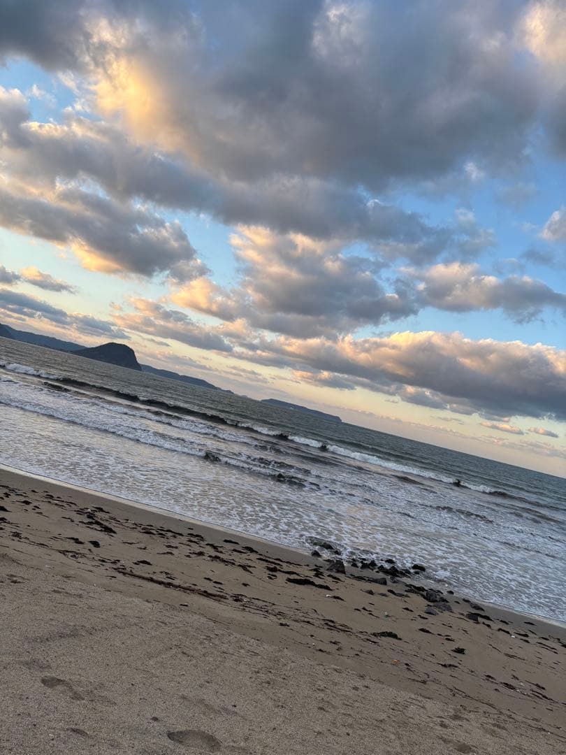 ポケモンカードゲーム SAKURA 桜アフロのピカチュウ【P】{211/SM-P}