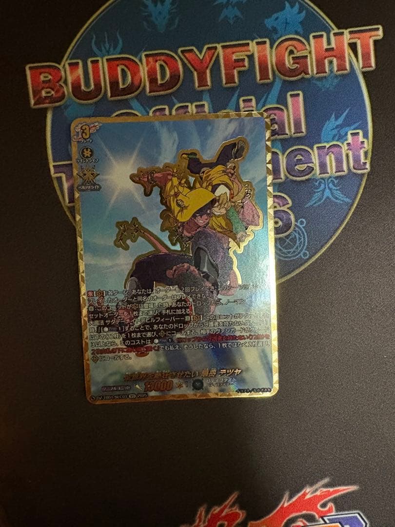 バディファイト　ヴァンガード　テツヤ