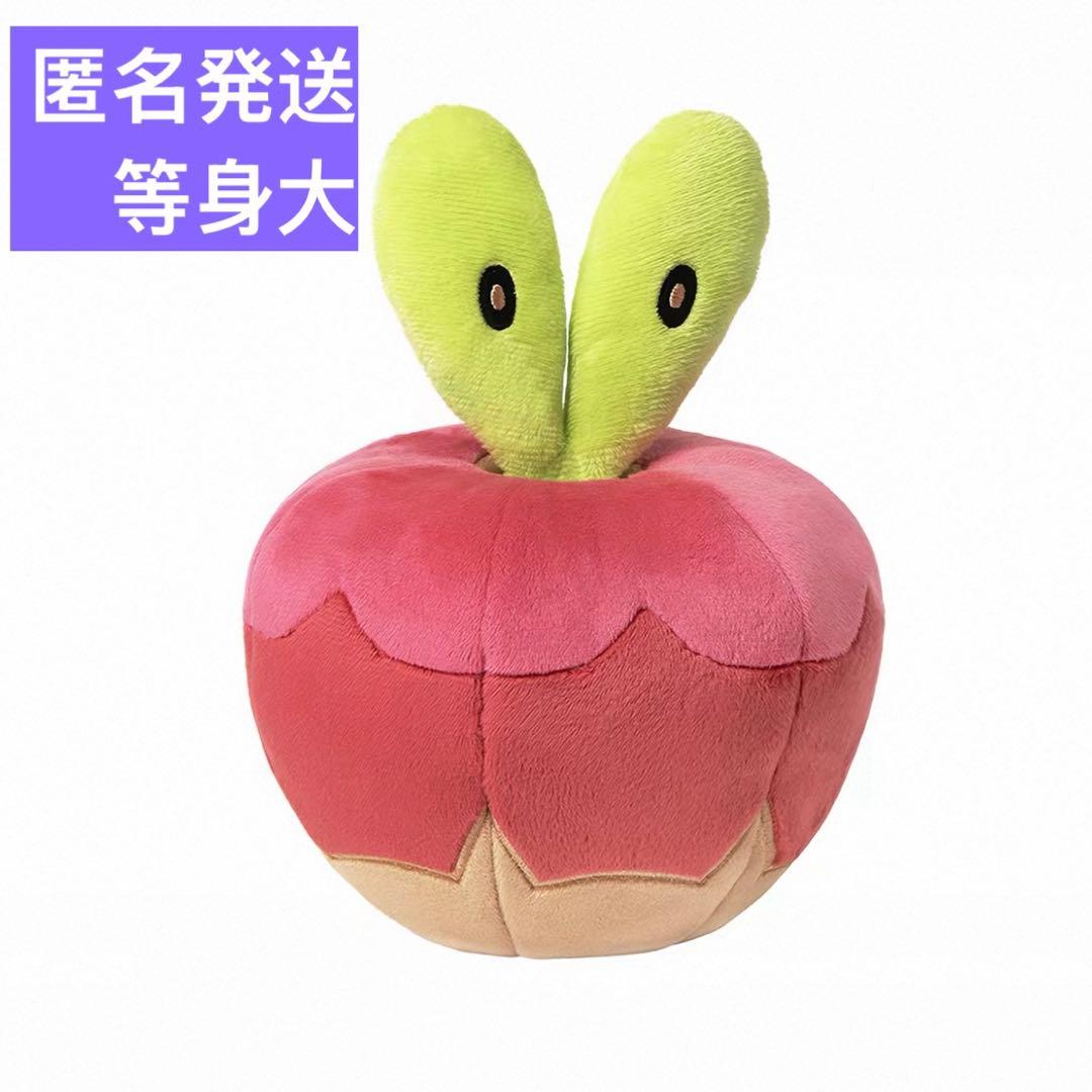 ポケモン 海外 上海限定 カジッチュ ぬいぐるみ 果然一派 等身大