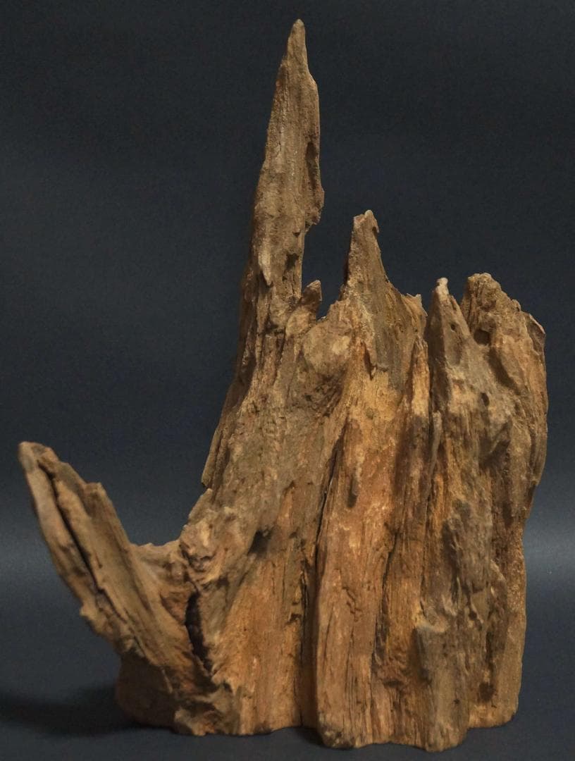 インド産 天然古白檀 特大香木 原木 自然体 山形香木置物 古香木 重量974g