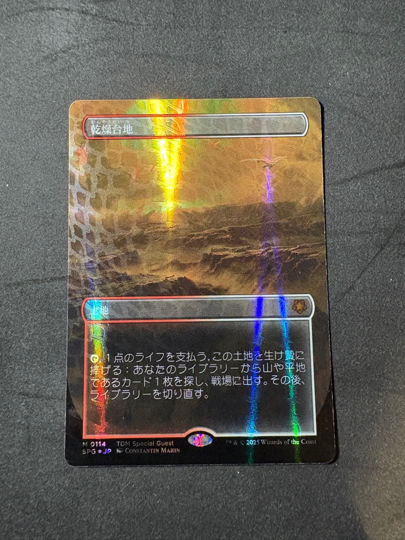 MTG 乾燥台地 0114 ドラゴンスケイルFOIL ドラゴンスケイル・Foil】(114)□ボーダーレス□《乾燥台地/Arid Mesa