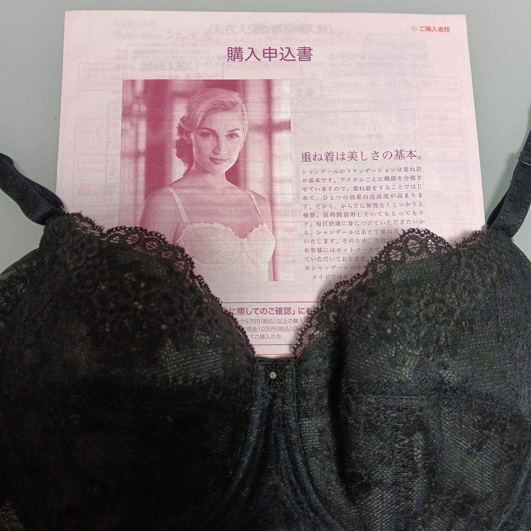 シャンデールシャイニー