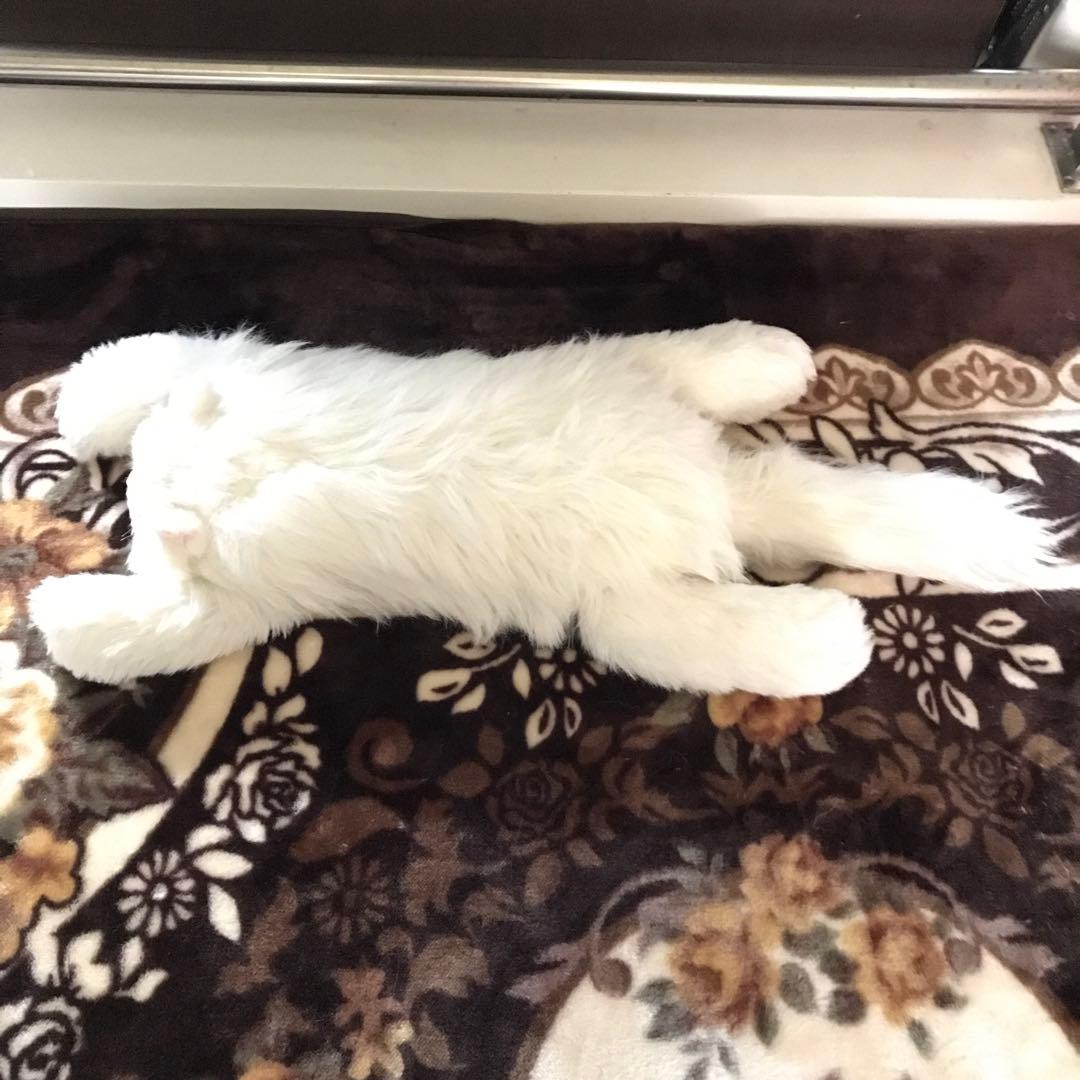 ぬいぐるみ 猫 ねこ ペルシャ猫 レトロ❣️ - メルカリ