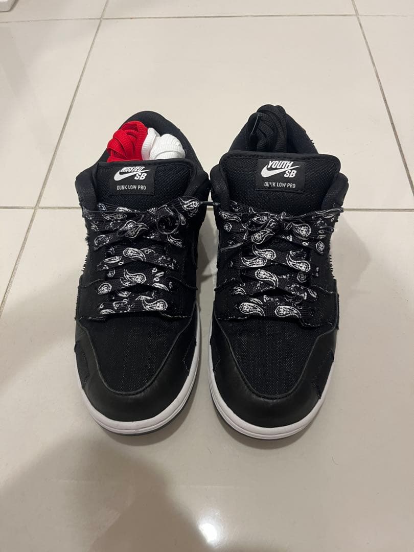 Wasted Youth × Nike SB Dunk Low 26cm