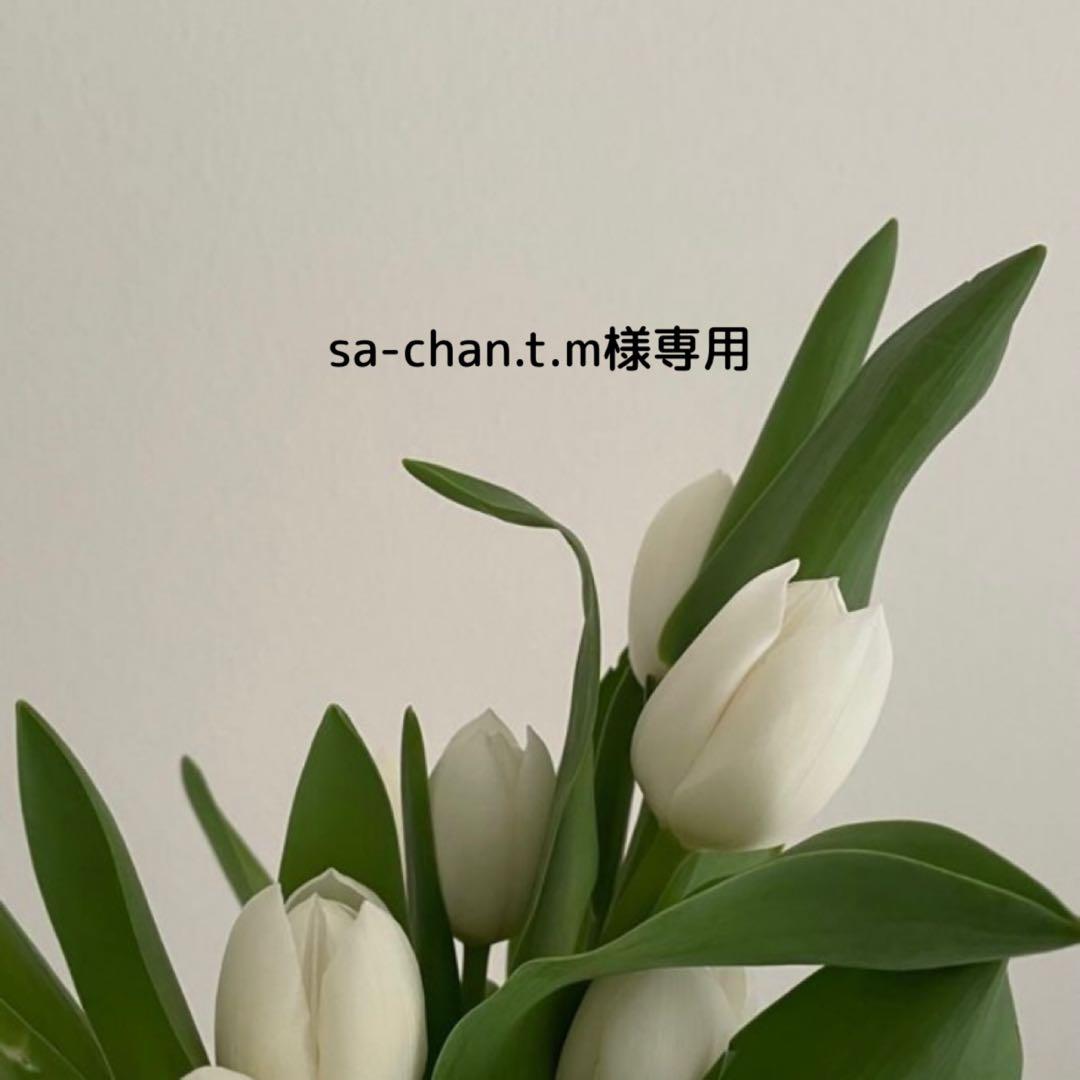 sa-chan.t.m 季令 スピケア V3 4点セット