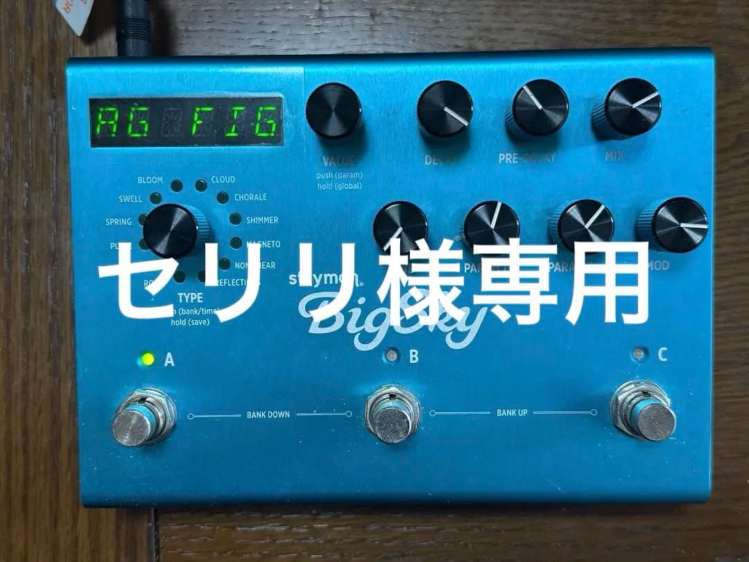ギター Strymon Big Sky