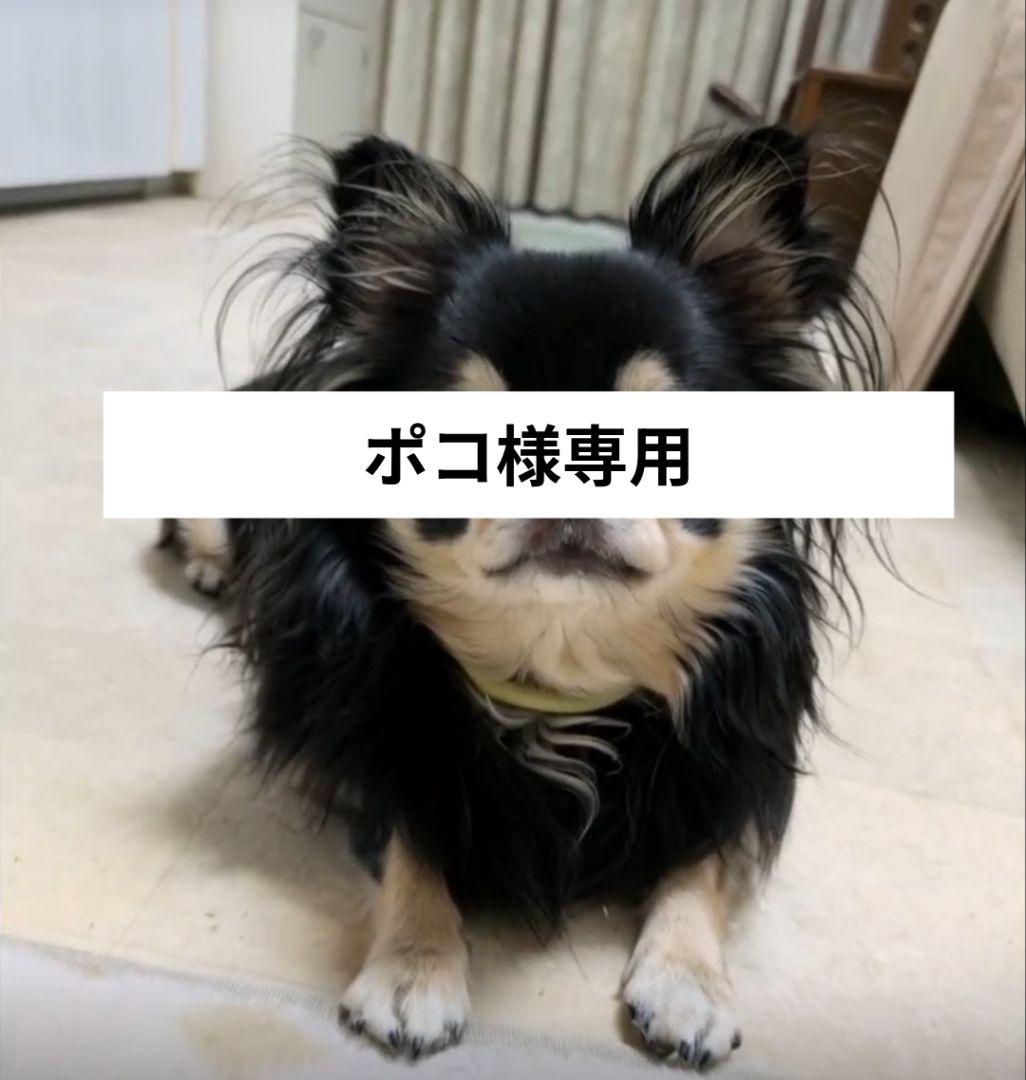 ポコMCM 　 パスポートケースオレンジ　モノグラム 0002252277-001.jpg