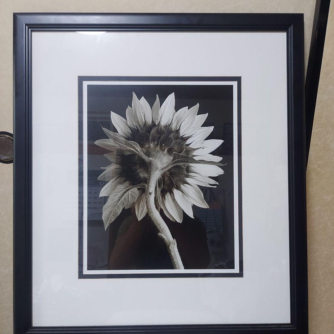 アートフォト作品ひまわり